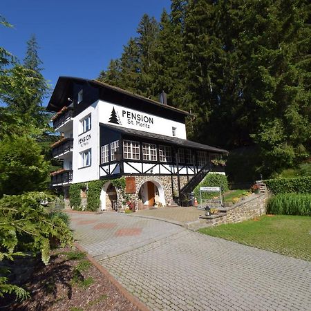 Pension St. Moritz Železná Ruda 外观 照片
