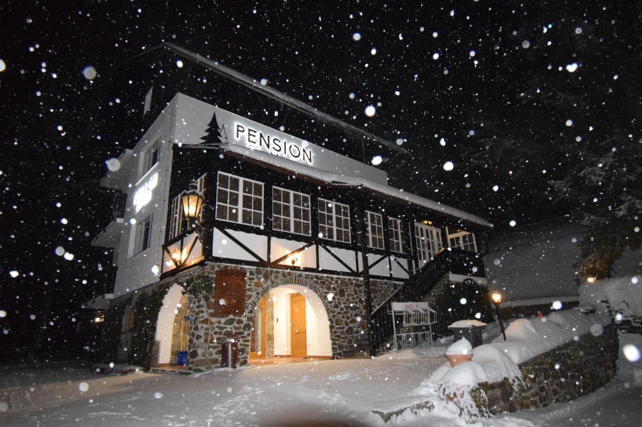 Pension St. Moritz Železná Ruda 外观 照片